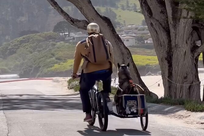 Monterey Bay Famous Dog Friendly Electric Bike and Sidecar Tour - Customer Experiences and Feedback