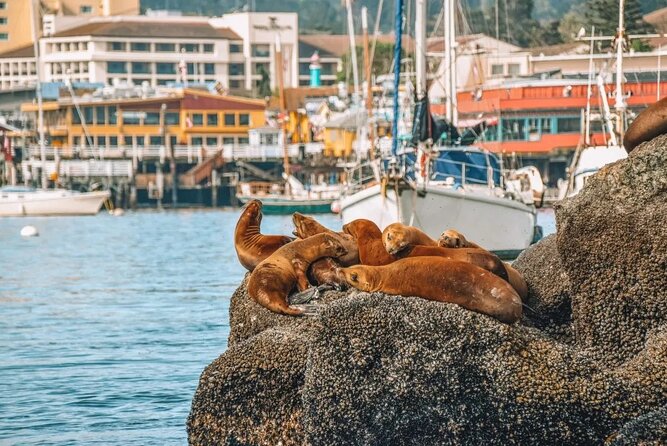 Monterey: Ocean Paradise Tour Review - Frequently Asked Questions