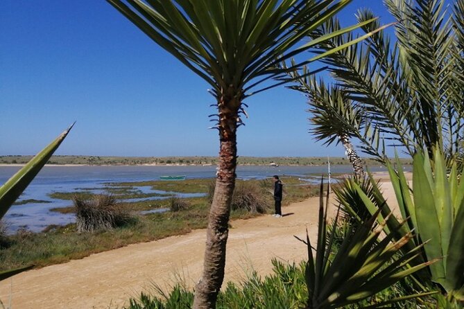 Moroccan Coastal Journeys: Marrakech to El Oualidia VIP Transfers - Exploring El Oualidia