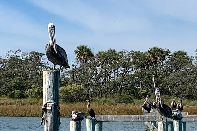Morris Island Private Excursion Review - Questions About Your Stay