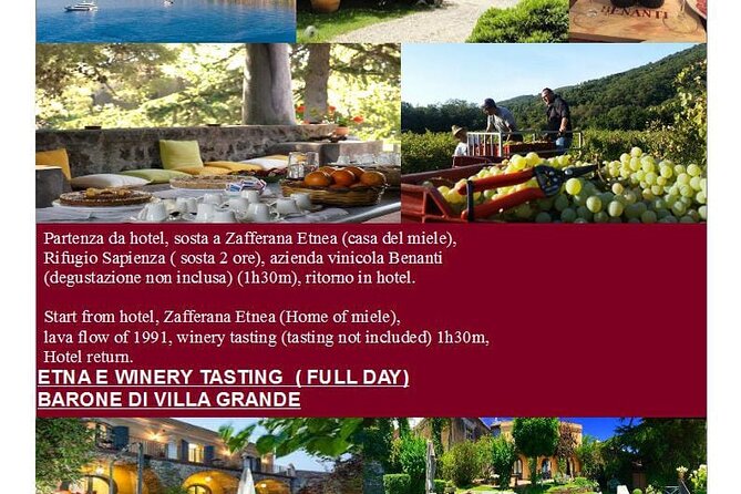 Mount Etna and Cellar Tour - Winery and Cellar Visit