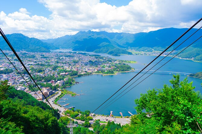 Mount Fuji Five Lakes Tour From Tokyo With Guide & Vehicle - Experience With a Local Guide