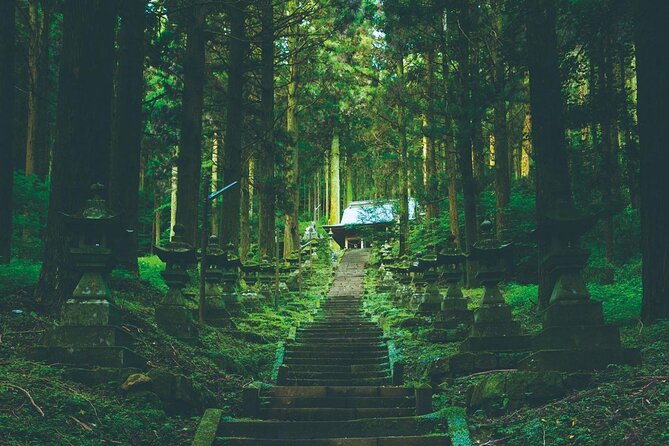 Mt. Aso and Takachiho Gorge 1 Day Highlights Tour From Kumamoto - Tour Reviews