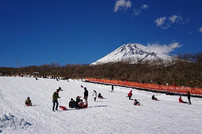 Mt Fuji and Hakone One Day Tour Departure From Tokyo With Lunch - Inclusions and Exclusions