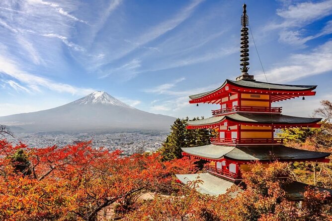 Mt Fuji and Hakone Private Day Tour With English Speaking Driver - Tour Itinerary and Experiences