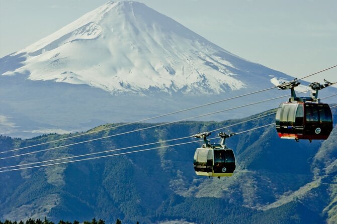 Mt Fuji and Hakone Private Day Tour - Inclusions and Exclusions