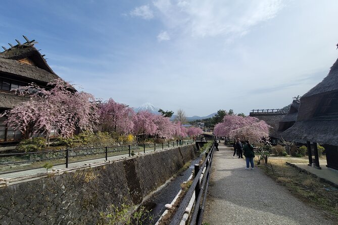 Mt Fuji Day Tour by Car With English Speaking Driver - Exploring the Iconic Mount Fuji Region