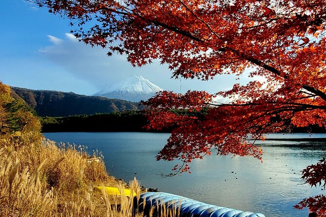 Mt. Fuji Guided Private Tour GREEN NUMBER PLATES - Accessibility and Participation
