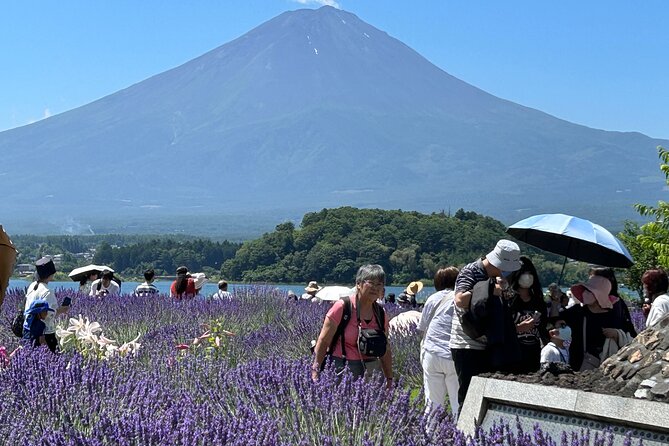 Mt.Fuji & Hakone Tour, From-To Tokyo/Yokohama/Odawara, 2-12guests - Duration and Price