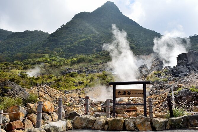 Mt Fuji Kawaguchi/Hakone/Yokohama Tokyo Customize Private Car - Insider Tips for Your Tour