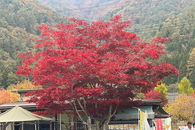 Mt. Fuji, Lake Kawaguchiko Private Tour With Pick up - Booking and Availability