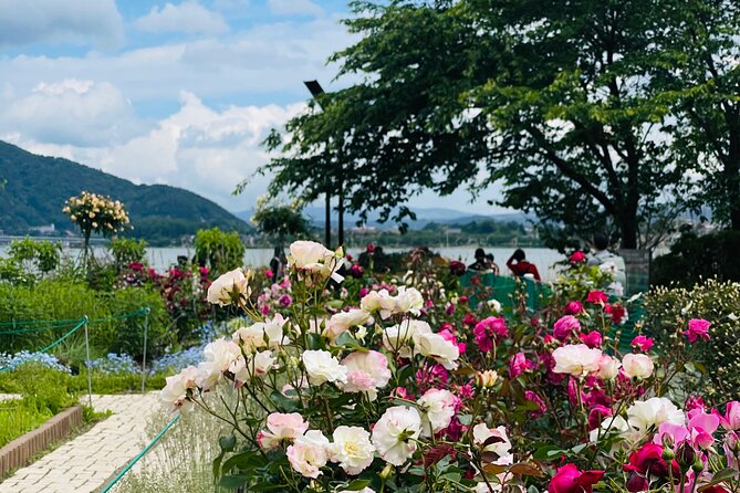 Mt Fuji Private Tour With English Speaking Driver - What to Expect