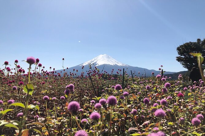 Mt Fuji With Kawaguchiko Lake Day Tour - Pricing and Booking
