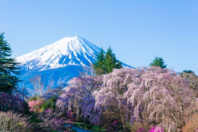 Mt. Fuji's Fifth Station & Lake Kawaguchiko Cycling Tour - About Mt. Fuji