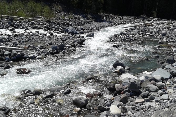 Mt Rainier Private Tour Experience in SUV - Highlights of the Tour