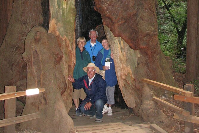 Muir Woods and California Wine Country 8 Hour Private Tour - Accessibility Options