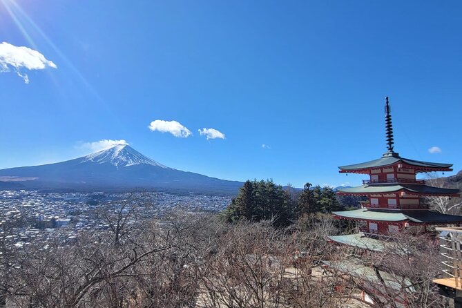 Muslim Friendly Mount Fuji Tour With English Speaking Chauffeur - Muslim-Friendly Highlights
