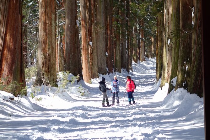 Nagano Winter Special Tour Snow Monkey and Snowshoe Hiking!! - Snowshoe Hiking Adventure