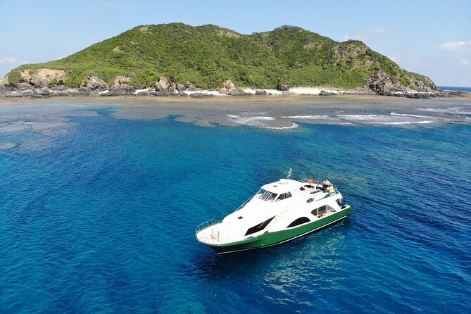 Naha: Kerama Islands Snorkeling Tour/Limited Time Whale Watching - Exploring the Underwater World