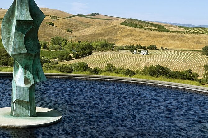 Napa & Sonoma Wine Tasting Tours - Tips for a Successful Tour
