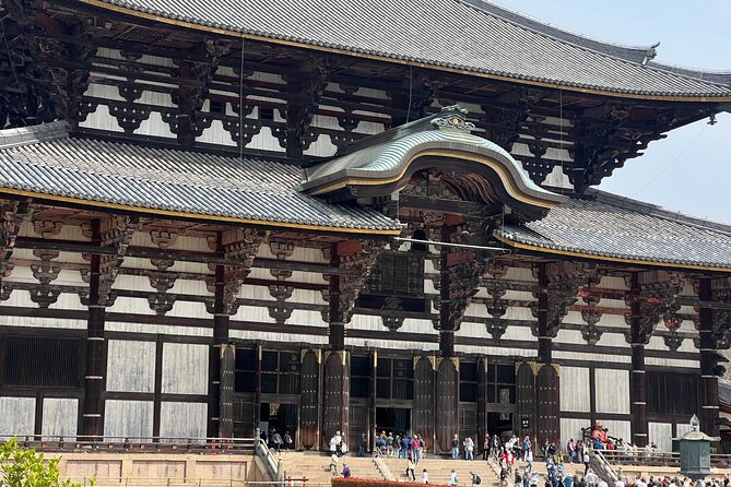 Nara Day Trip From Kyoto With a Licensed Guide - Experiencing Deer Interaction