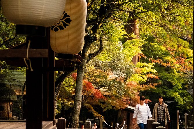 Nara Private Customizable Half Day Tour - Company Background and Reviews
