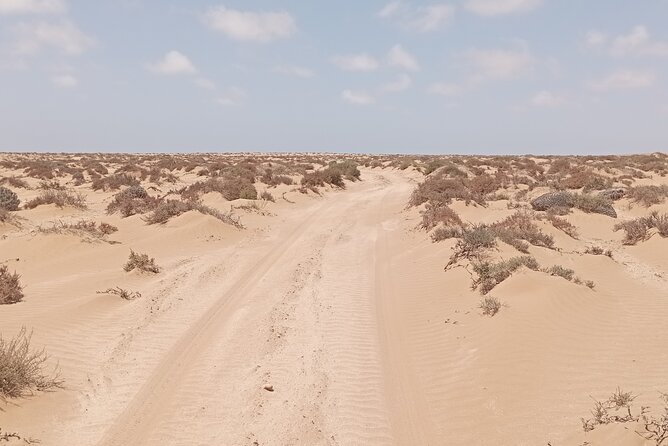 National Park & Sahara Day Trip With Food - Tips for a Great Experience