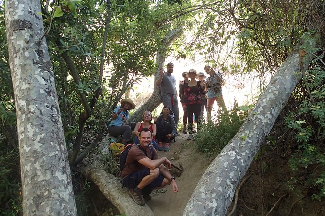 Nature Walk/Hike Tour Near Disneyland: ID Plants & Wildlife - Discovering Wildlife