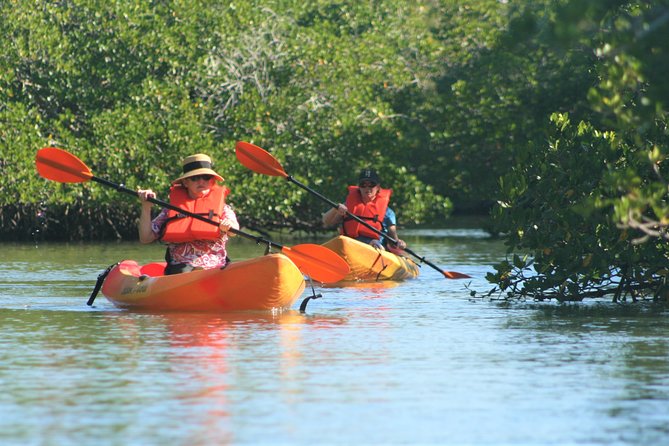 Nauti Exposures - Kayak Rental Naples, FL - Exploring the Cocohatchee River Park Marina