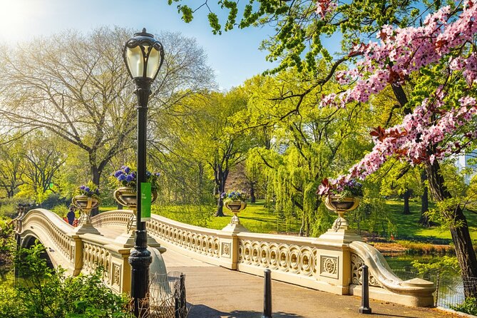 New York Central Park Stolen Archives Tour Review - Connecting the Dots and Solving the Mystery