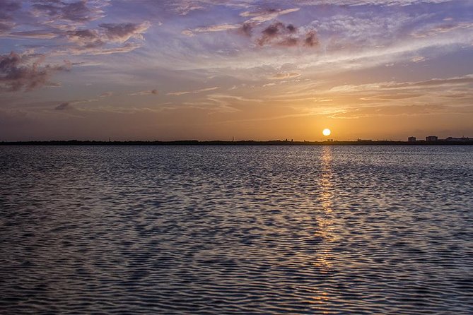 Nichupte Lagoon Wildlife Tour - Tips for a Great Experience