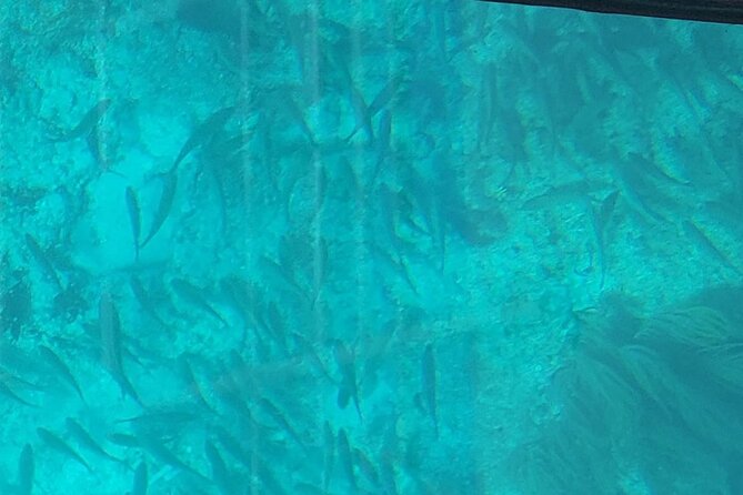 Night Tour Glass Bottom Boat Review - Potential Drawbacks and Concerns