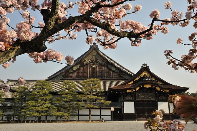Nijo Castle Samurai Culture Experience With a Fun Expert Guide - Why This Experience Is Highly Recommended