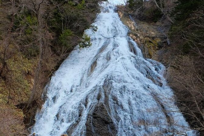 Nikko Private Experience With English Speaking Driver - Tips for an Enjoyable Experience