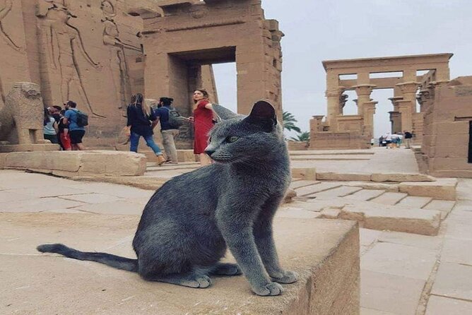Nile Cruise Luxor and Aswan for 7 Nights Includes Tours,Abu Simbel,Air Balloon - Booking Process