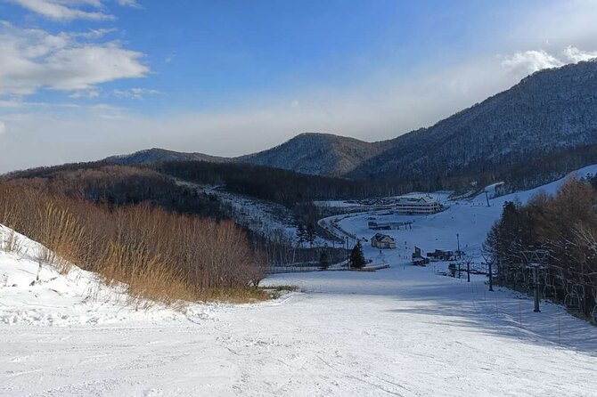 Niseko to Chitose Airport or Sapporo Private Transfer - Customer Satisfaction