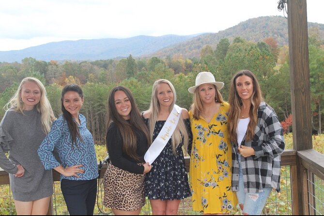 North Georgia Mountains Three Vineyard Wine Tasting Tour - Experience Highlights