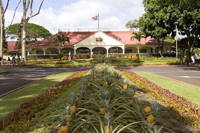 North Shore & Circle Island Tour (Private) - What to Expect