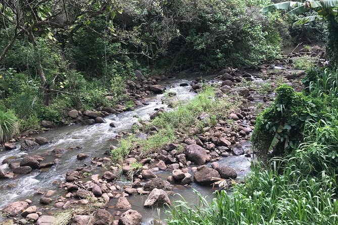 North Shore / Waimea, Falls Day & Swim With Turtles - Guided by Local Experts
