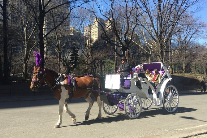 NYC Central Park Horse and Carriage Ride: Long Ride 45 Min - Capturing Memorable Moments