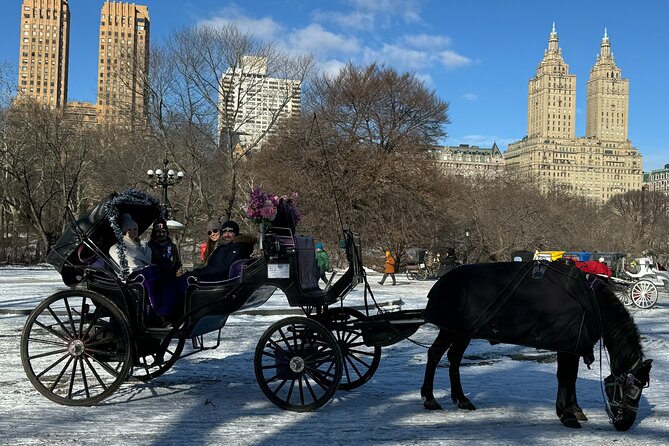 NYC Empire State Horses Carriage Ride in Central Park (45 Mins) - Meeting Point and Pickup