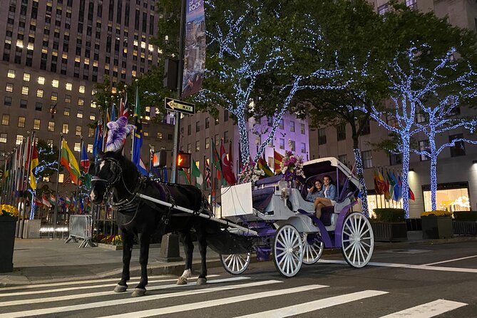 NYC Rockefeller Center Christmas Lights Ride Review - Pricing and Booking Options