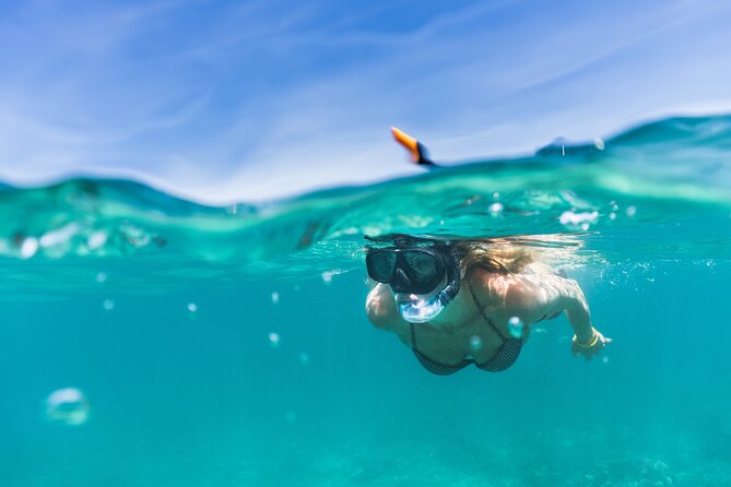 Oahu Coastline Cruise: Turtle Snorkeling and Jumping Platform - Guest Feedback and Recommendations