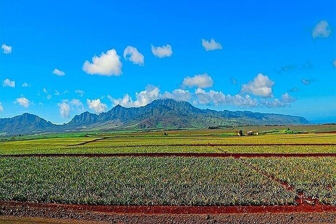 Oahu Grand Circle Island Experience From Waikiki - Customer Reviews