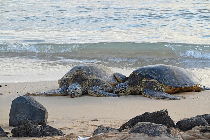 Oahu's Cheapest Circle Island Tour Review - Value for Money