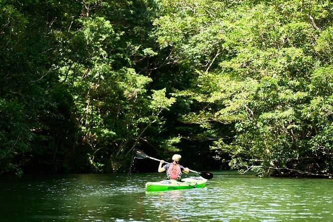 Okinawa Blue Zone 4 Days Discovery Adventure in UNESCO Site - Relaxation and Rejuvenation at a Spa Resort