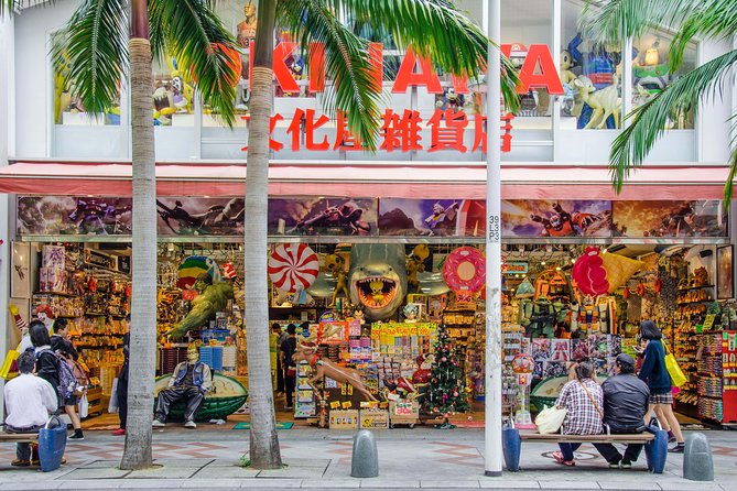 Okinawa Private Customizable 6-Hour Tour By Private Vehicle - Highlights of the Tour