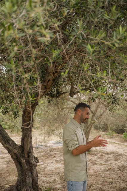 Olive Oil Evening A Journey of Taste, Tradition and Horses - Scenic Dining Under Stars