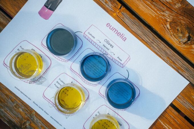 Olive Oil Tasting: Secrets From Ancient Olive Groves - Discover Greeces Green Gold