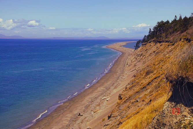 Olympic National Park Audio Tour Review - Convenient Features